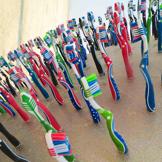 RecycleToothbrushes 543