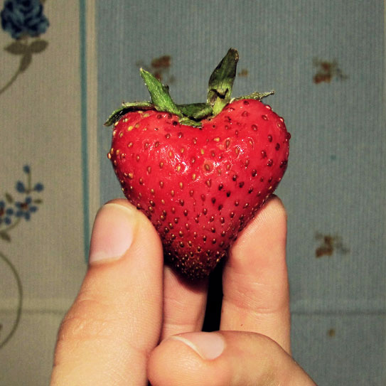 strawberry2